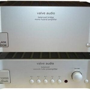 Valve Audio Blackwidow Monoblocks x 2